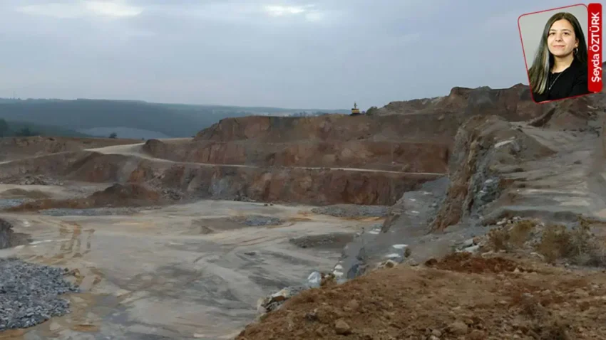 Istanbulun akcigerleri dediler binlerce agacin kesimine onay aldilar katliamin itirafi 6XVwI3Ie
